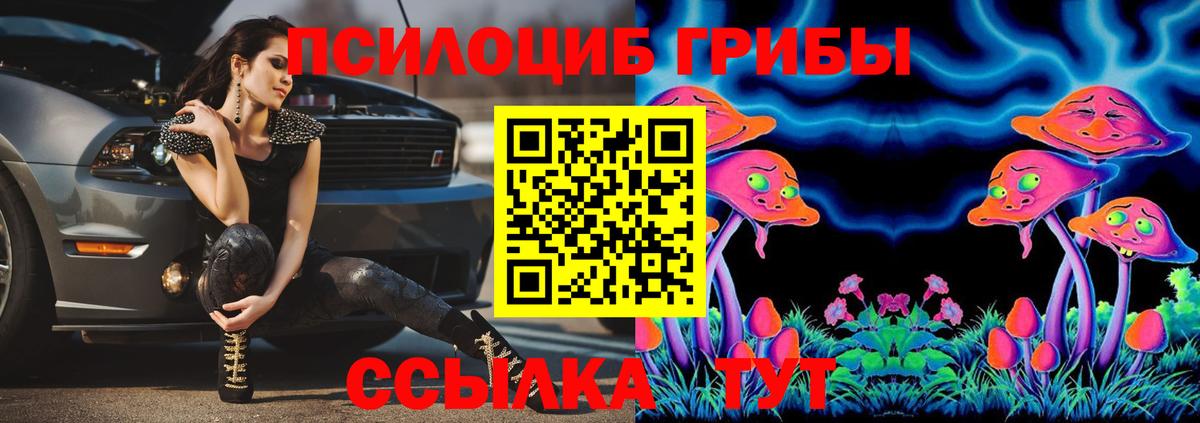 Галлюциногенные грибы Psilocybe  Вход с VPN  Североморск 